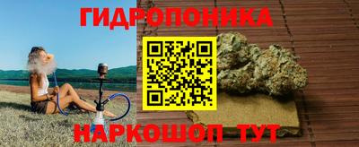 твердый Будённовск