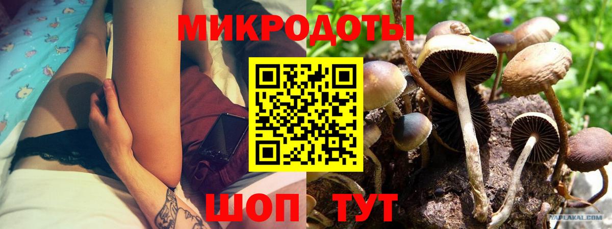 Петропавловск-Камчатский  Галлюциногенные грибы мухоморы  Вход с VPN 